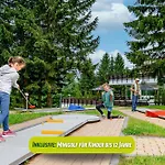 Ahorn Panorama 3* オーバーホーフ