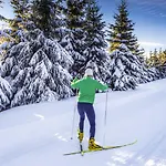 Ahorn Panorama ホテル 3*