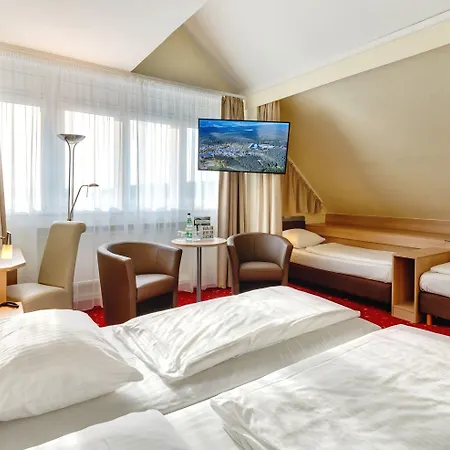 Ahorn Panorama Hotel 3*