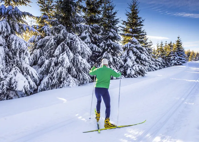 Ahorn Panorama Hotel 3*