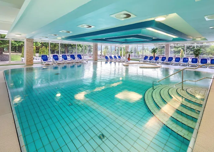 Hotel Ahorn Panorama 3*